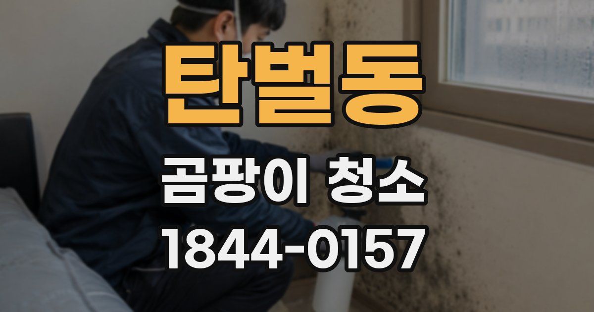 탄벌동 곰팡이 청소