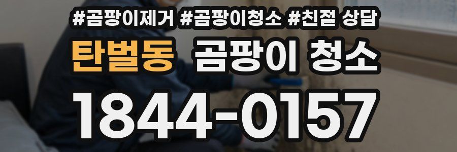 탄벌동 곰팡이 청소