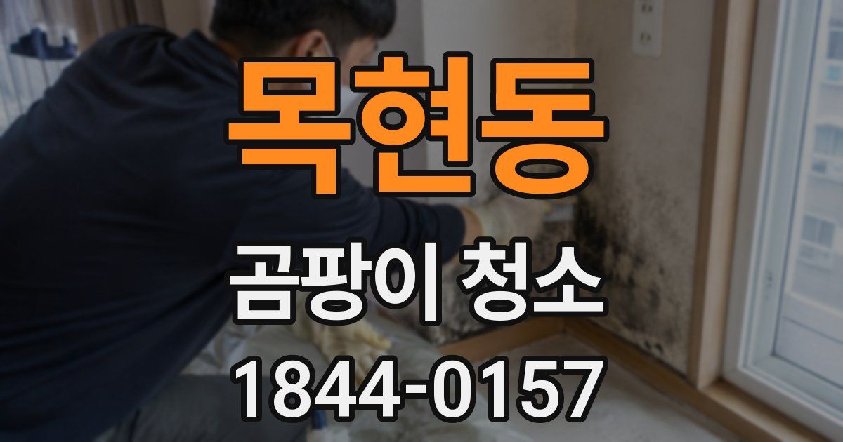 목현동 곰팡이 청소