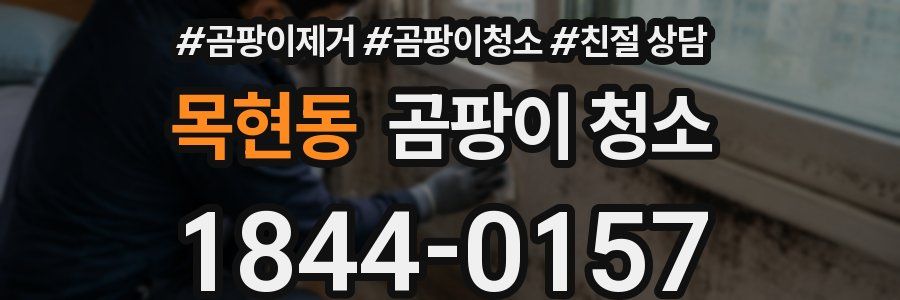 목현동 곰팡이 청소