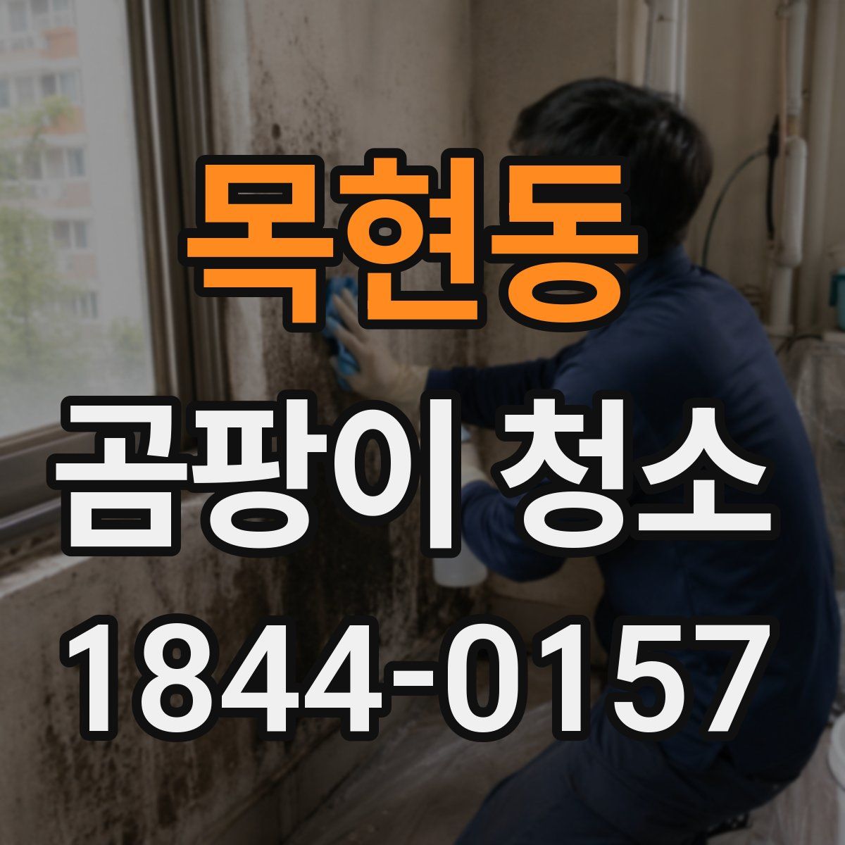 목현동 곰팡이 청소