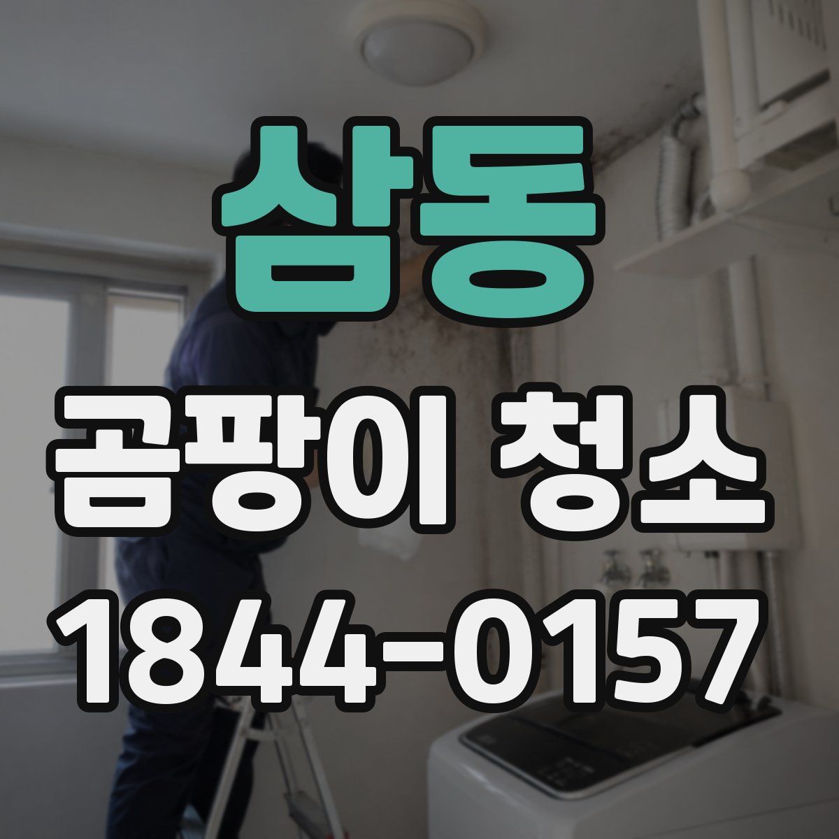 삼동 곰팡이 청소