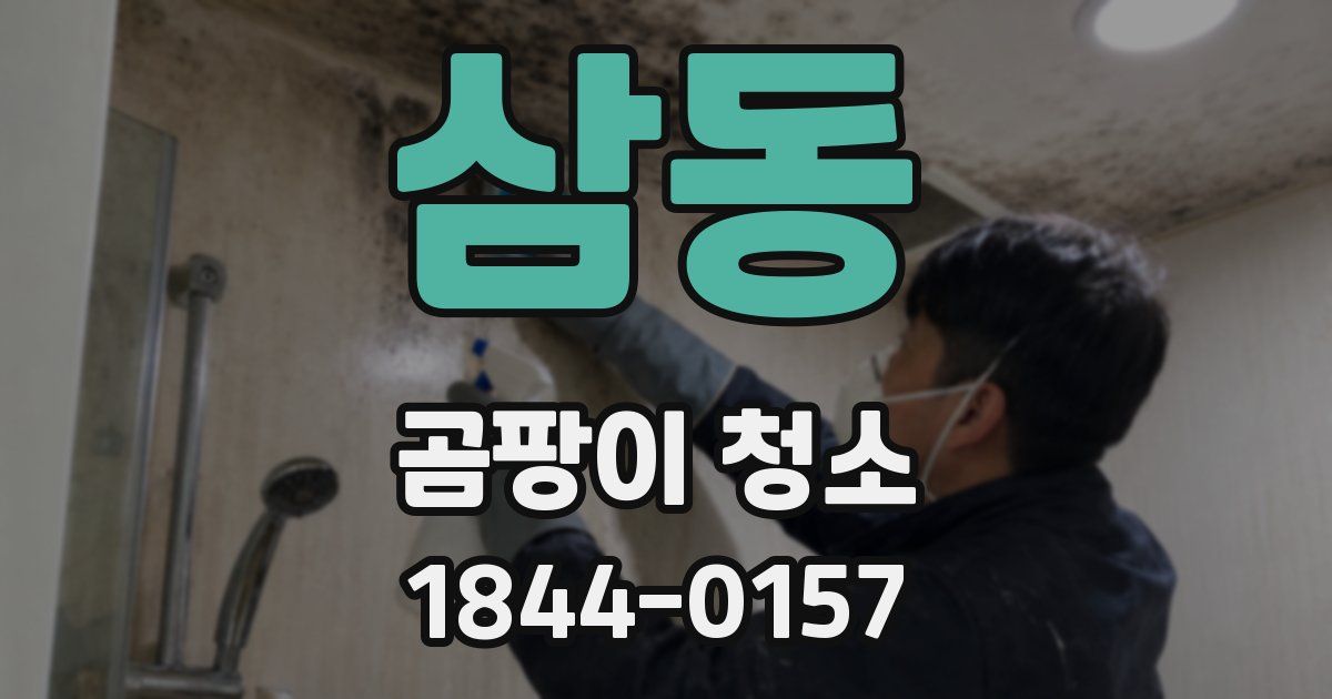 삼동 곰팡이 청소