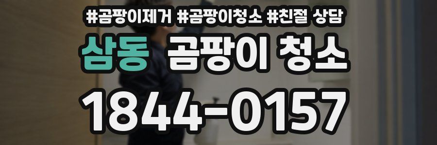 삼동 곰팡이 청소
