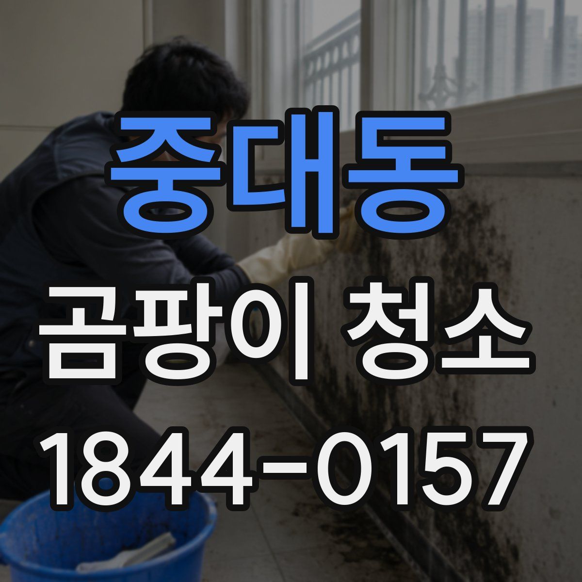 중대동 곰팡이 청소