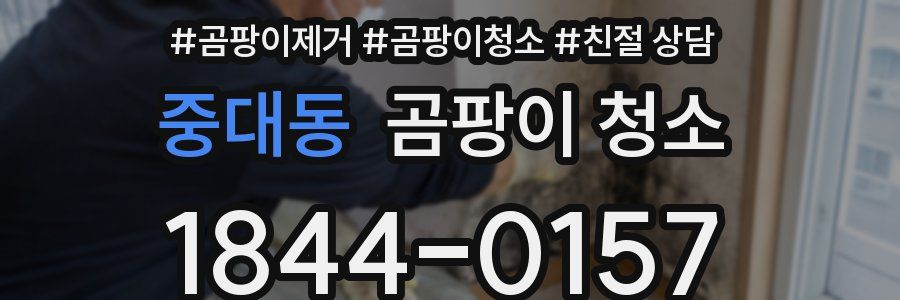 중대동 곰팡이 청소