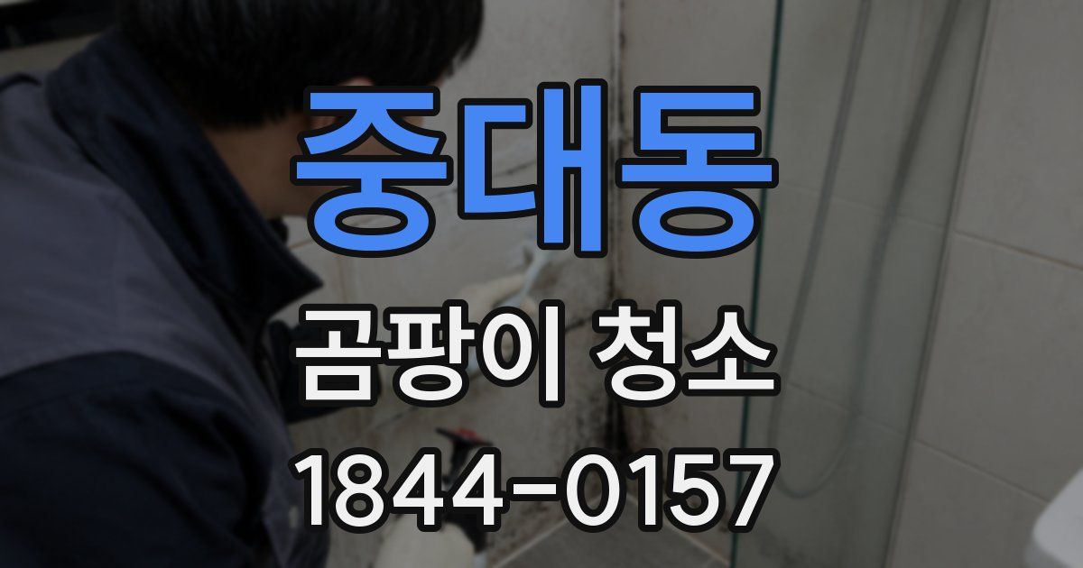중대동 곰팡이 청소