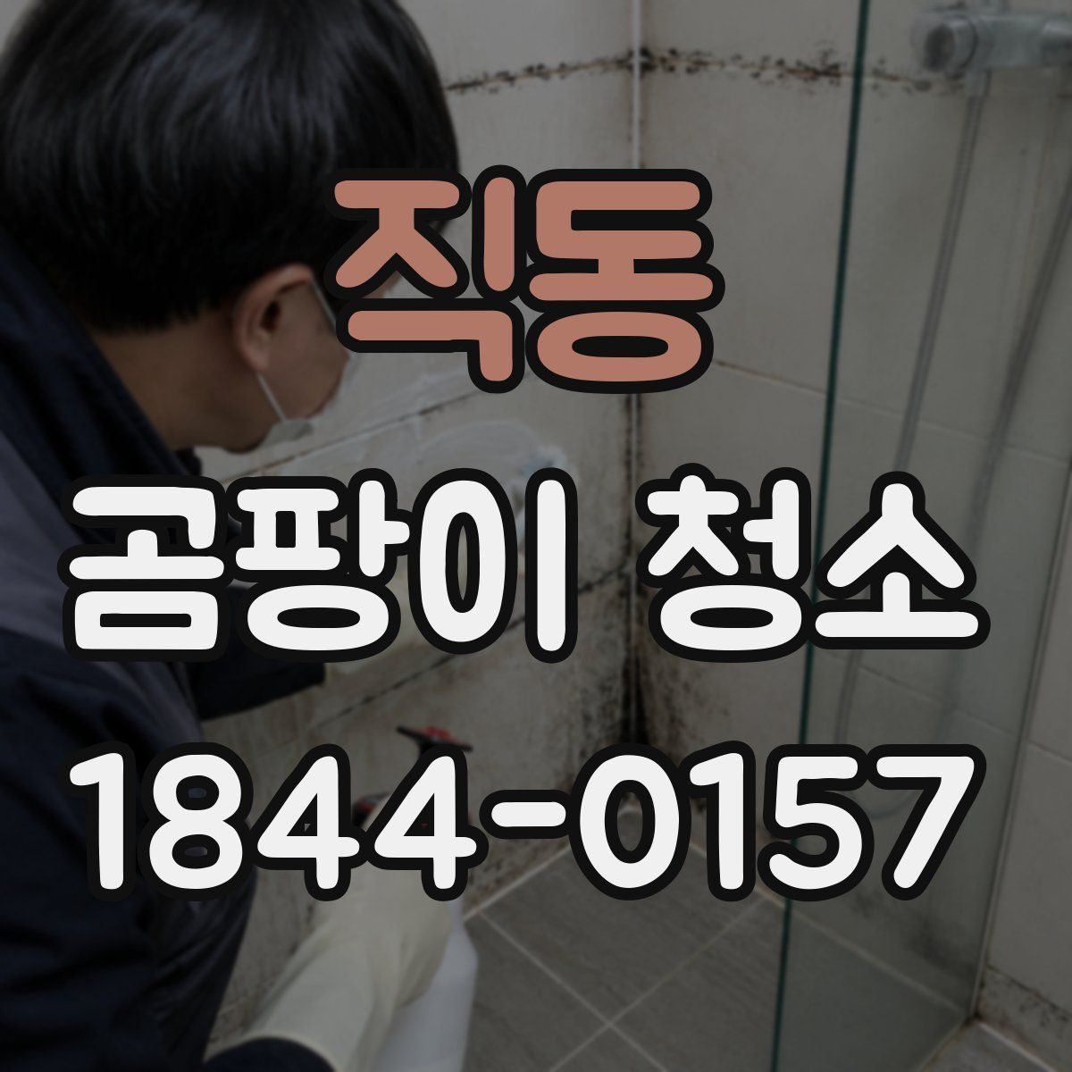 직동 곰팡이 청소