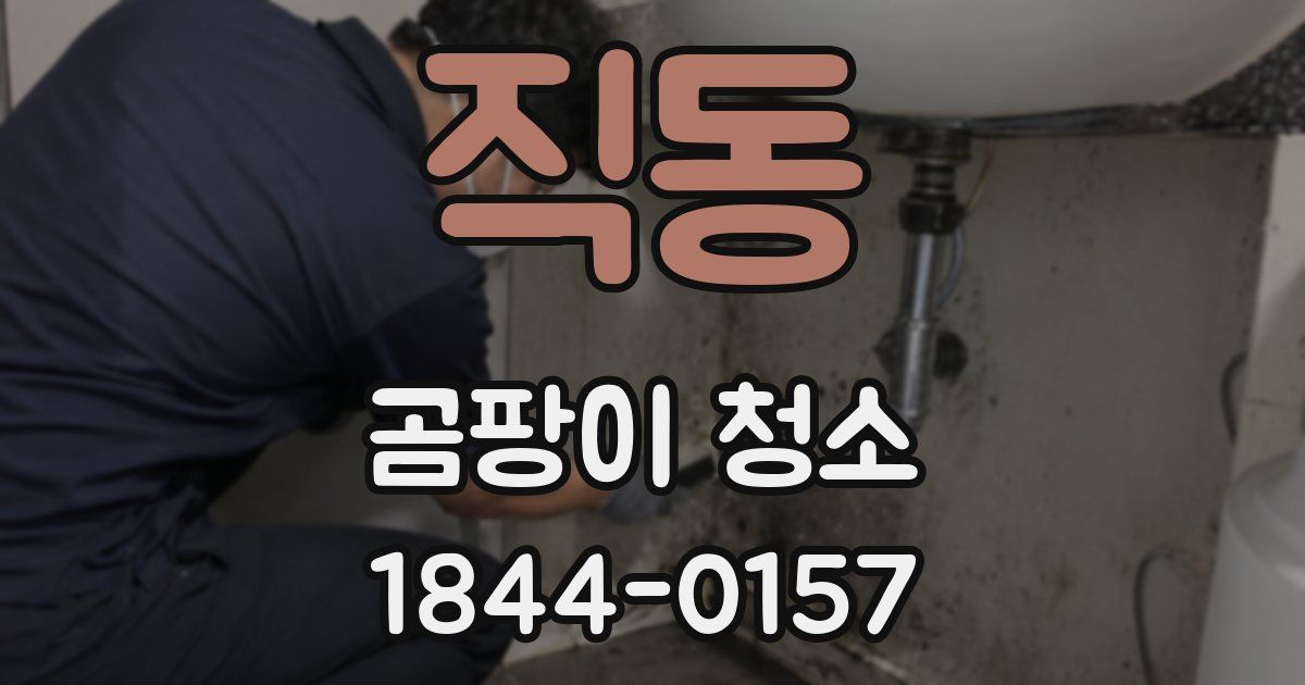 직동 곰팡이 청소