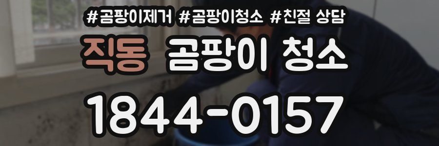 직동 곰팡이 청소
