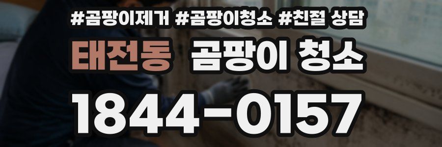 태전동 곰팡이 청소