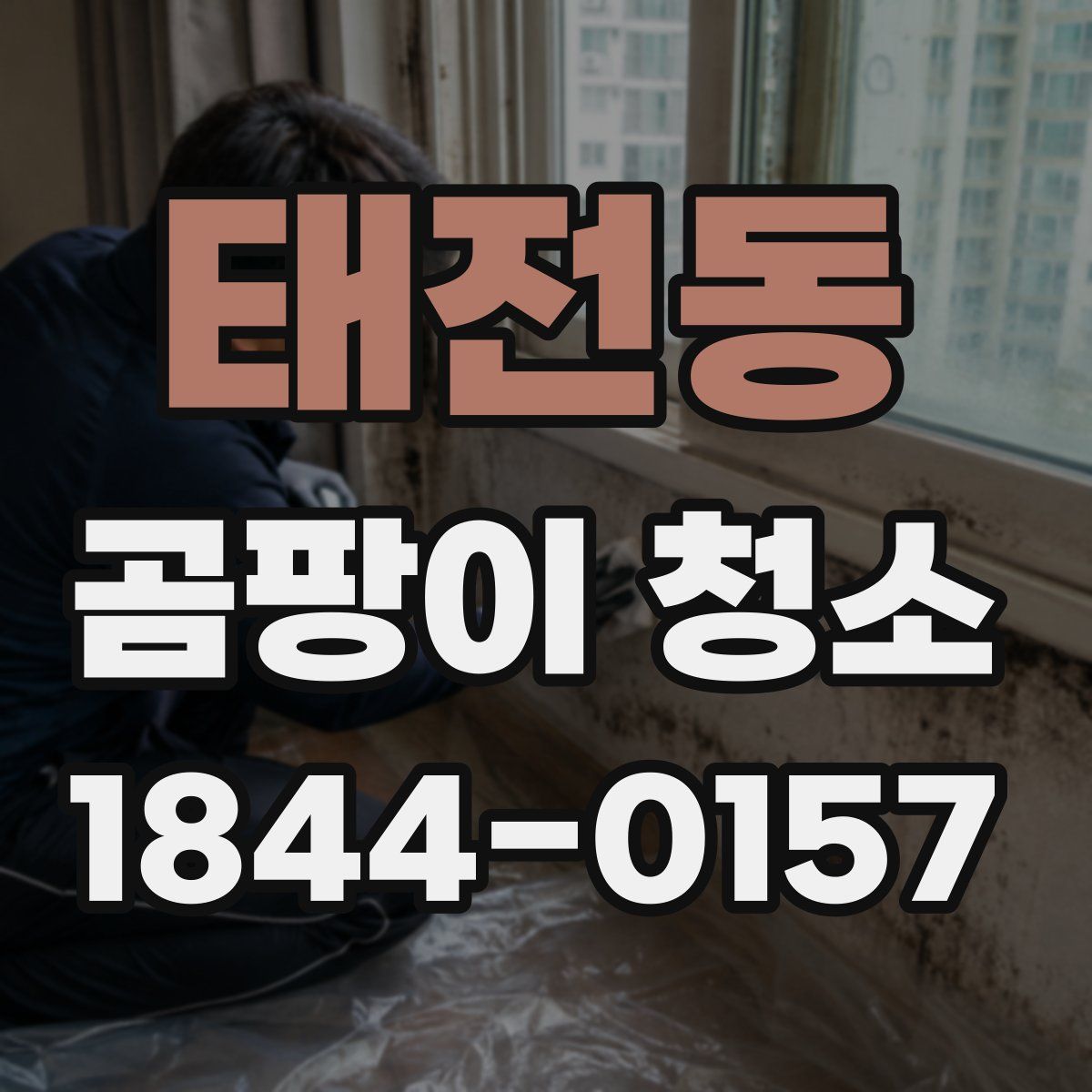 태전동 곰팡이 청소