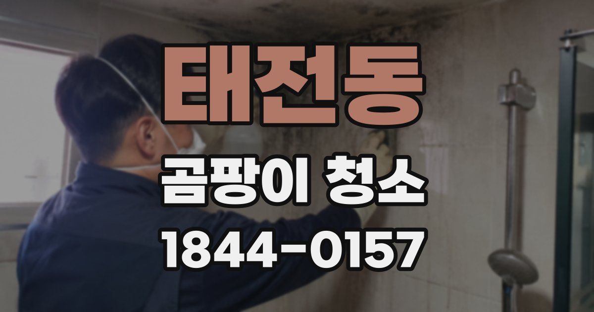 태전동 곰팡이 청소