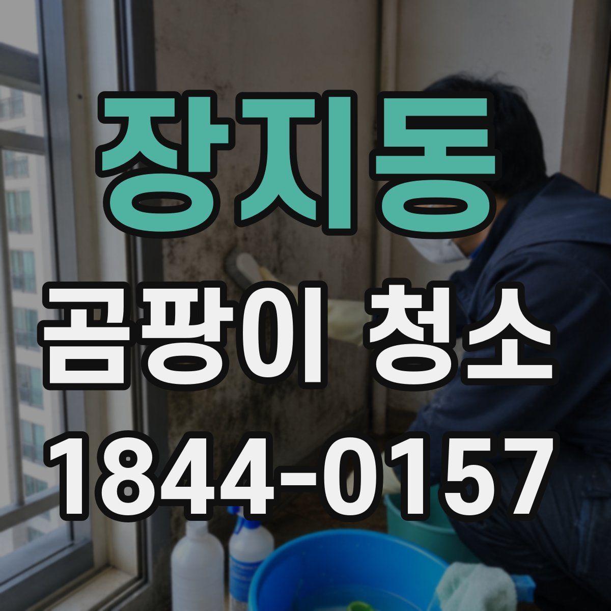 장지동 곰팡이 청소