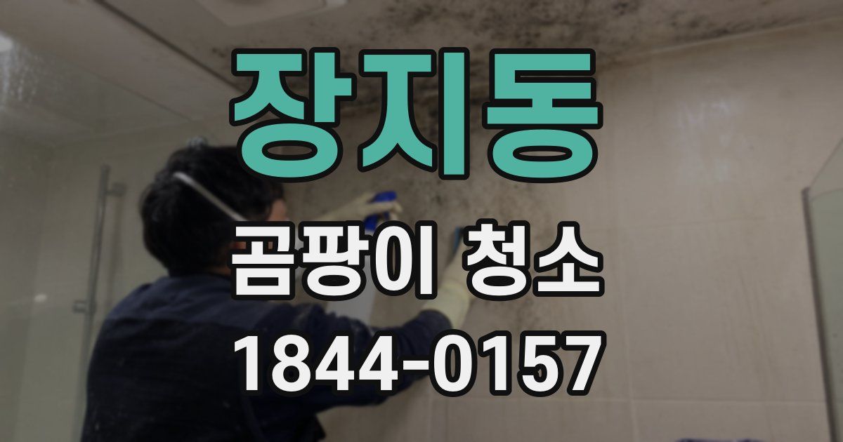 장지동 곰팡이 청소