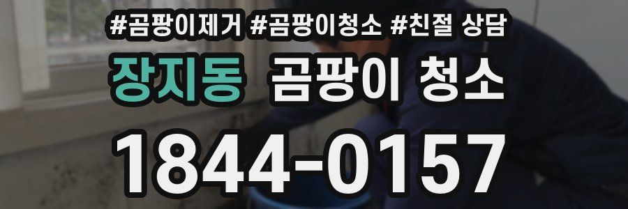 장지동 곰팡이 청소