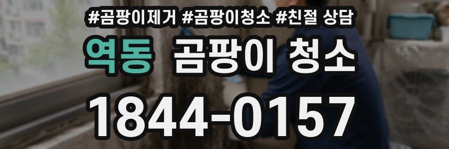 역동 곰팡이 청소