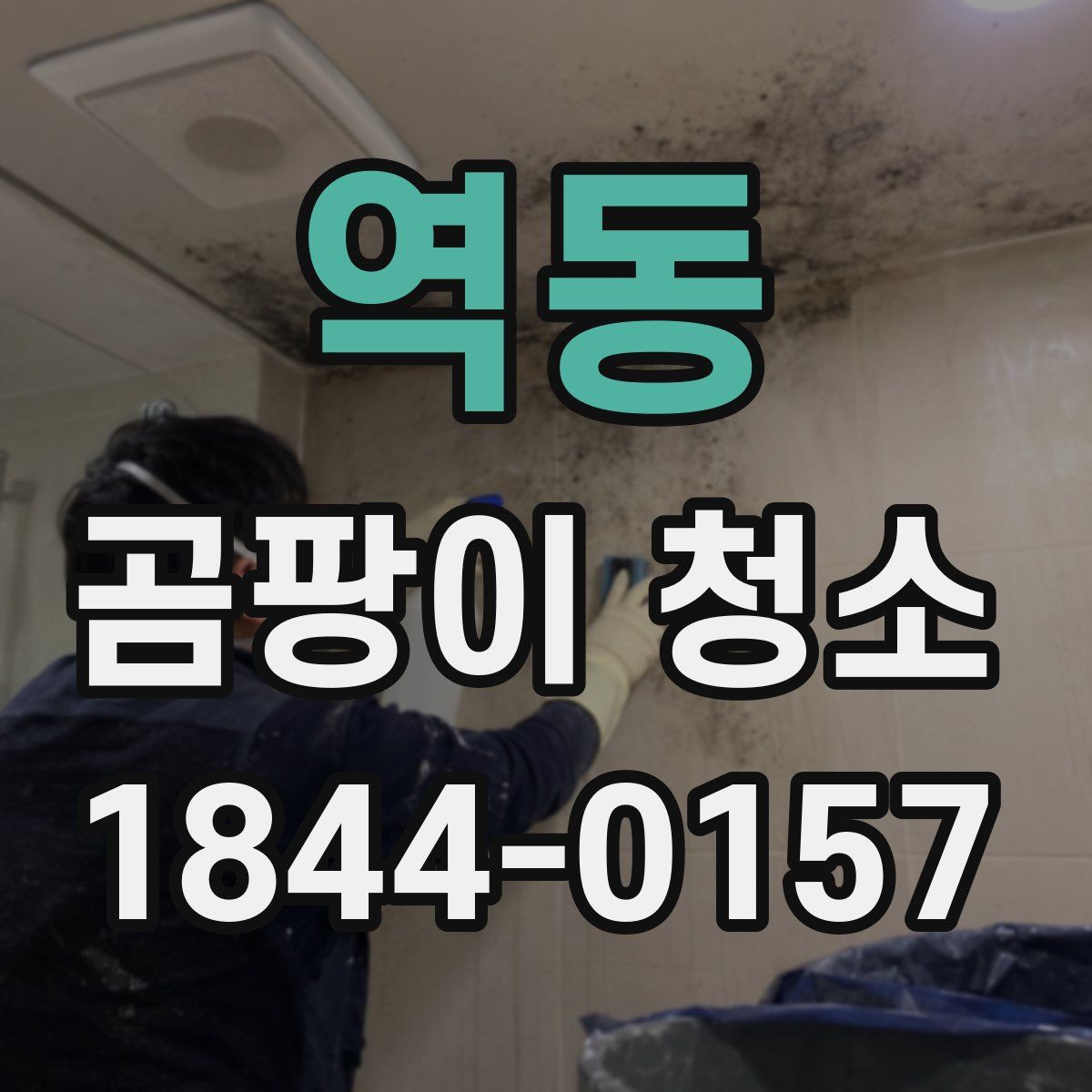 역동 곰팡이 청소