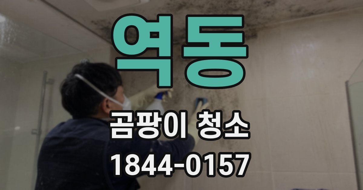 역동 곰팡이 청소
