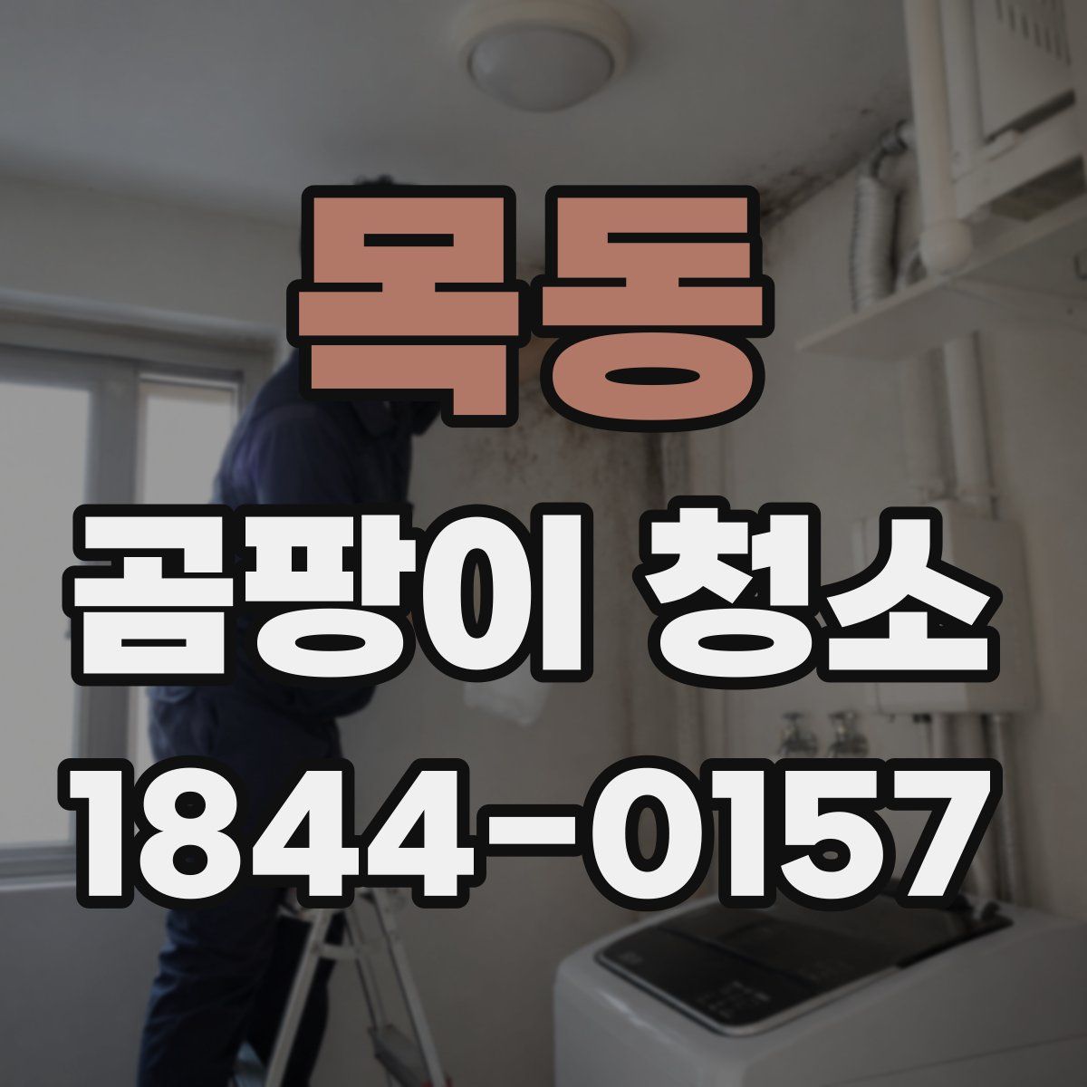 목동 곰팡이 청소