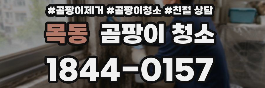 목동 곰팡이 청소