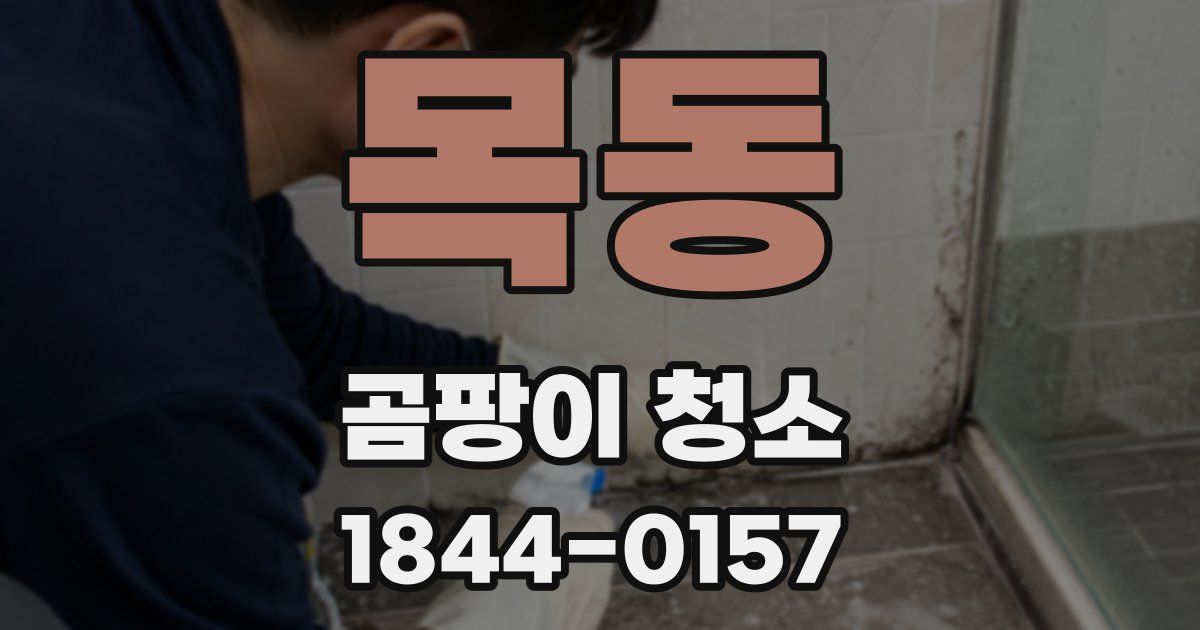 목동 곰팡이 청소
