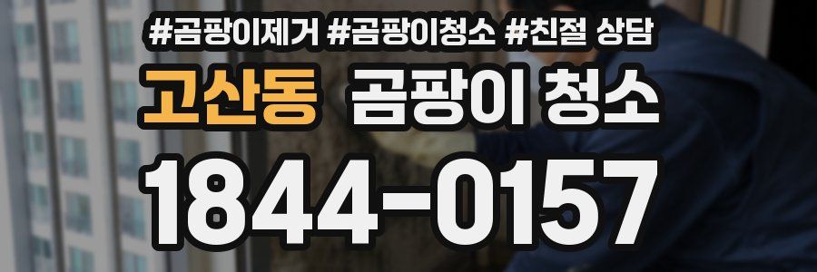 고산동 곰팡이 청소