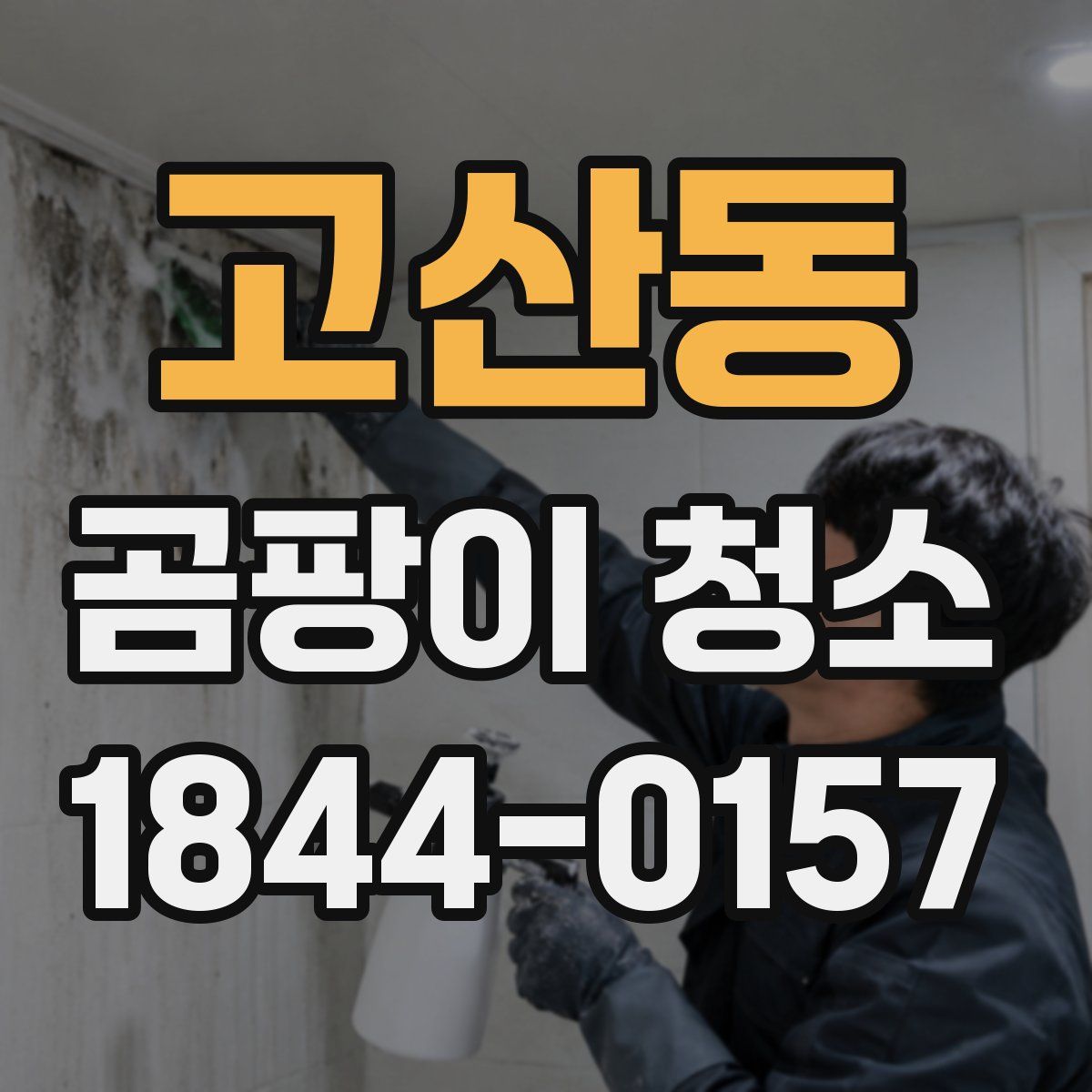 고산동 곰팡이 청소