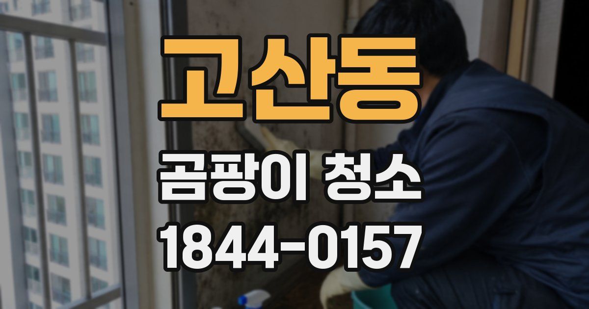 고산동 곰팡이 청소