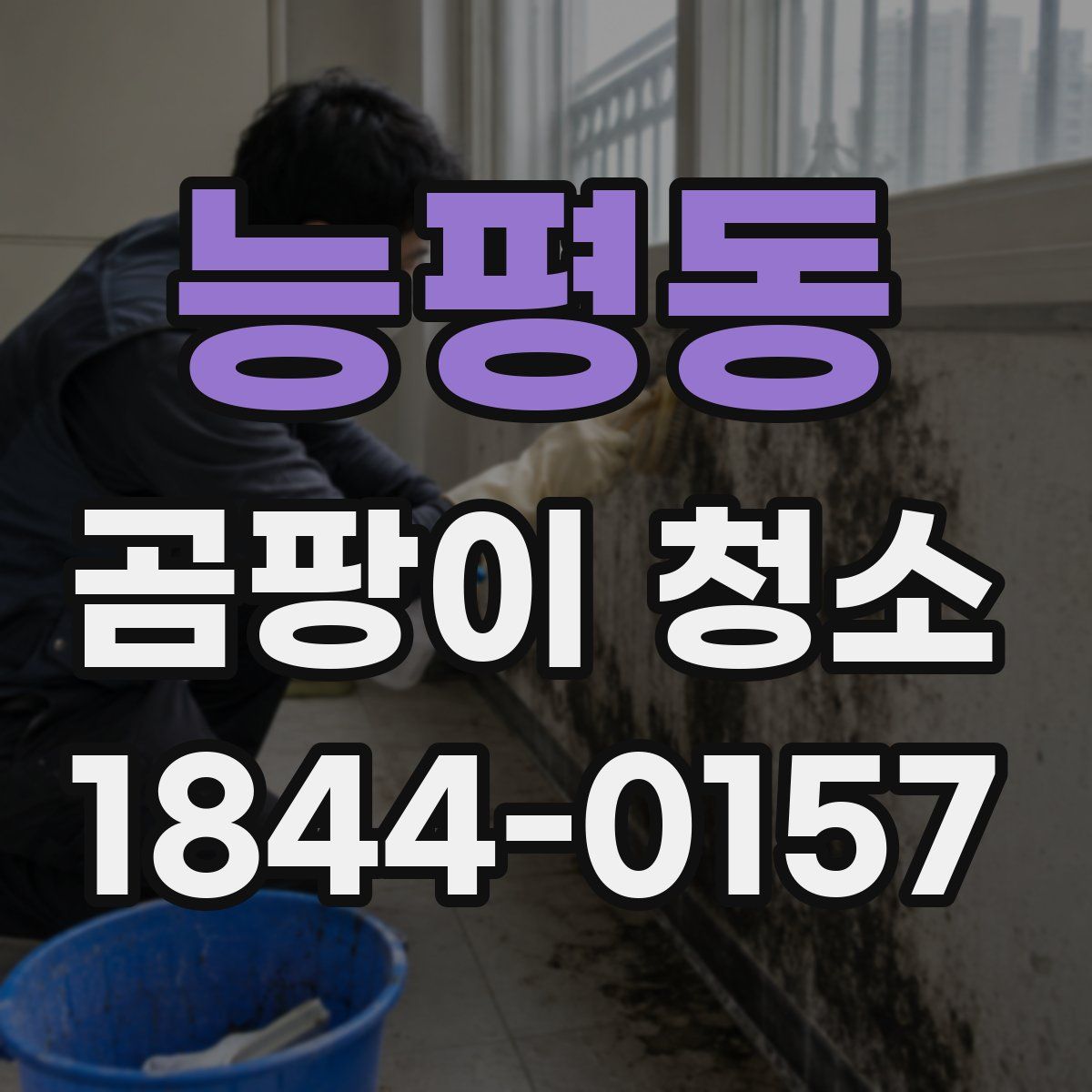 능평동 곰팡이 청소