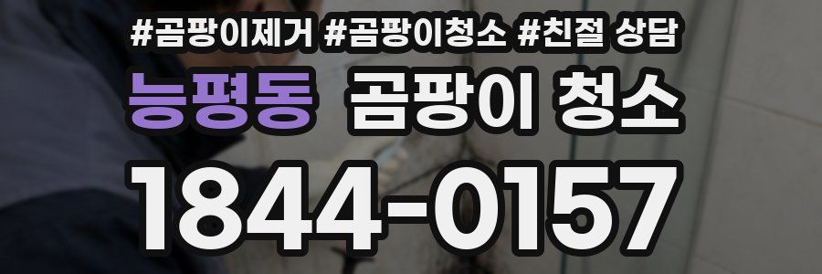 능평동 곰팡이 청소
