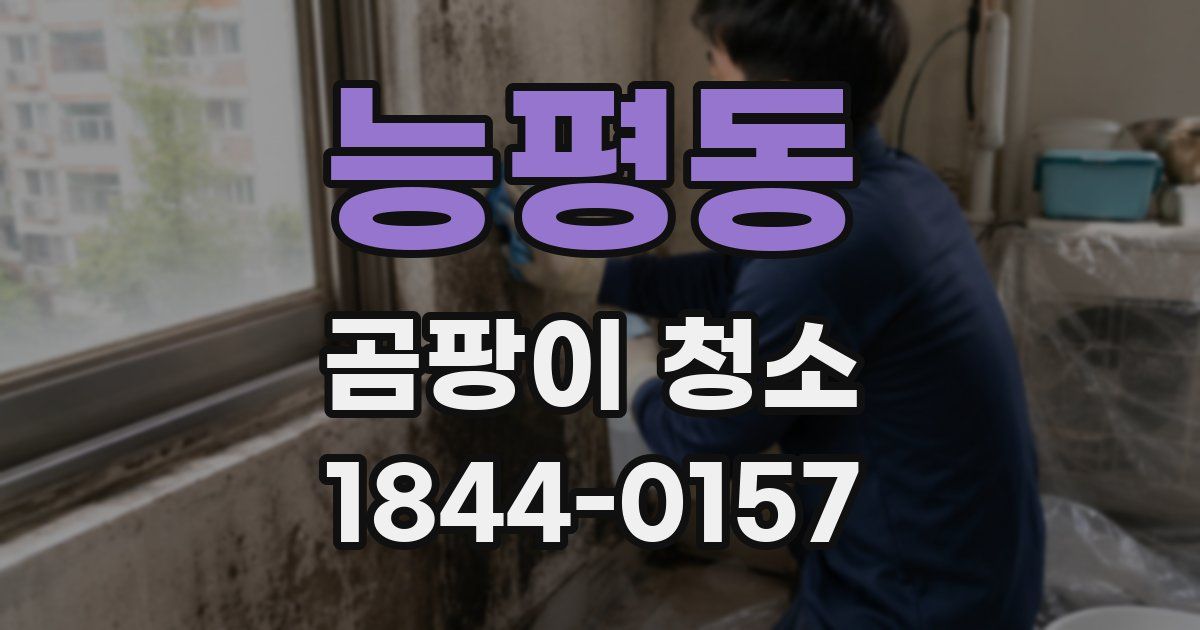 능평동 곰팡이 청소