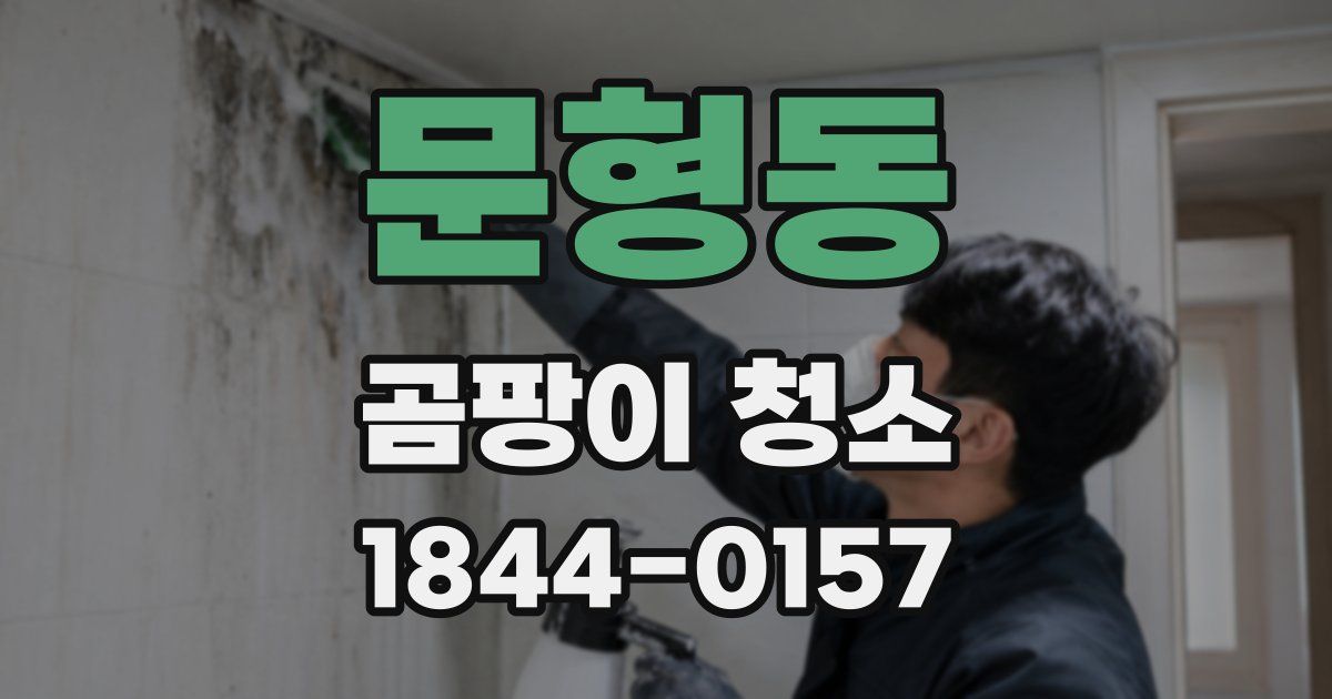 문형동 곰팡이 청소