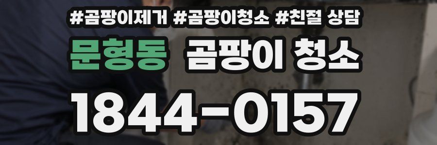 문형동 곰팡이 청소