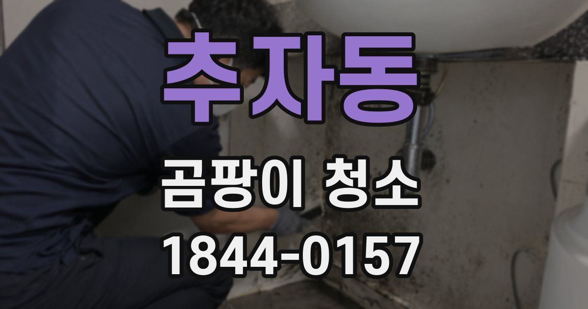 추자동 곰팡이 청소