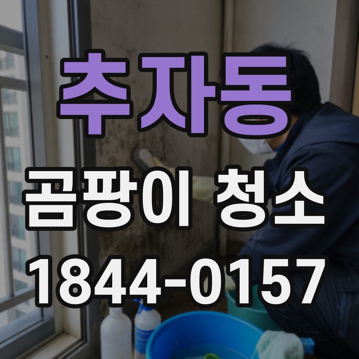 추자동 곰팡이 청소