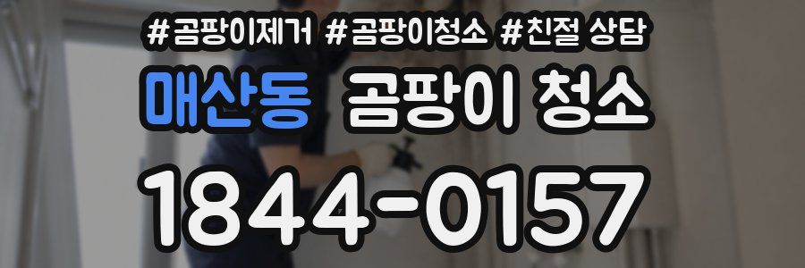 매산동 곰팡이 청소