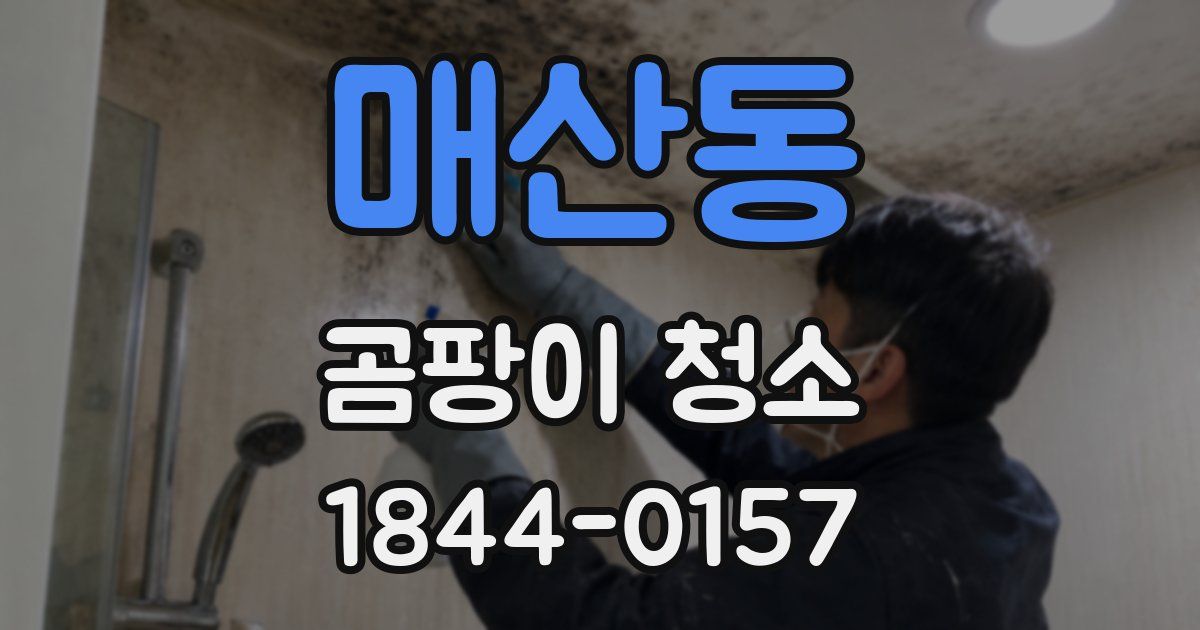 매산동 곰팡이 청소