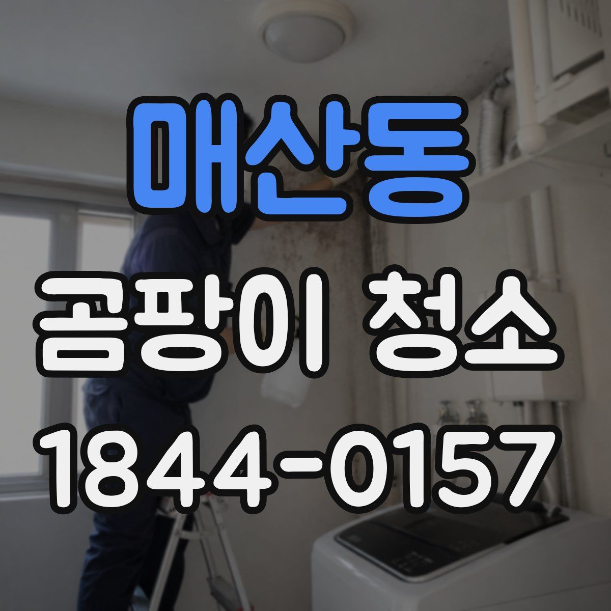 매산동 곰팡이 청소