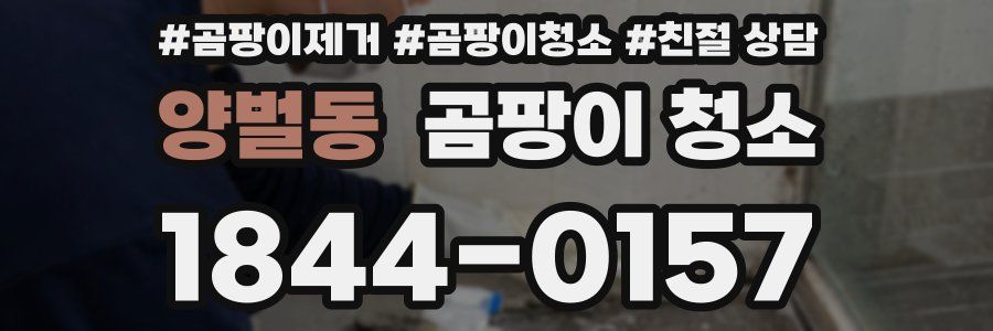 양벌동 곰팡이 청소