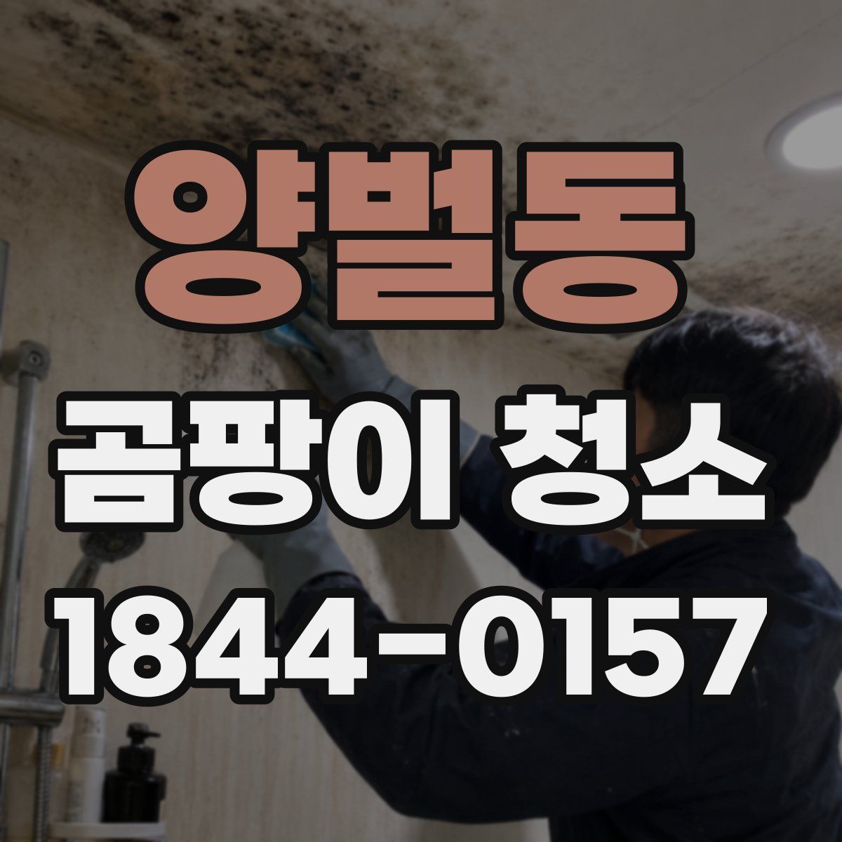 양벌동 곰팡이 청소