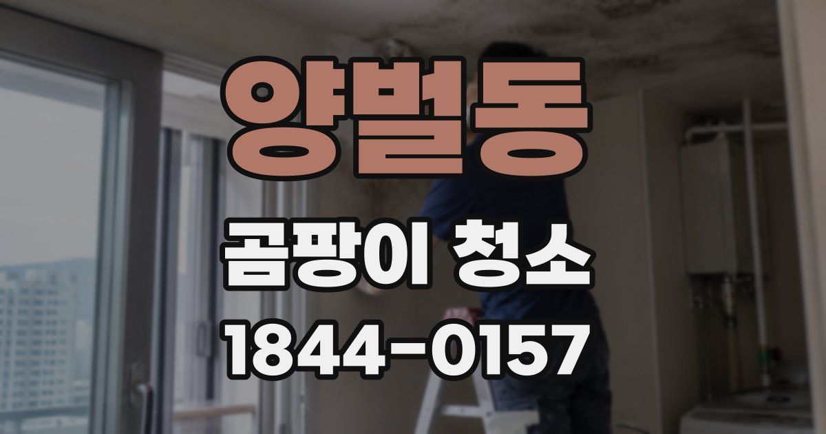 양벌동 곰팡이 청소