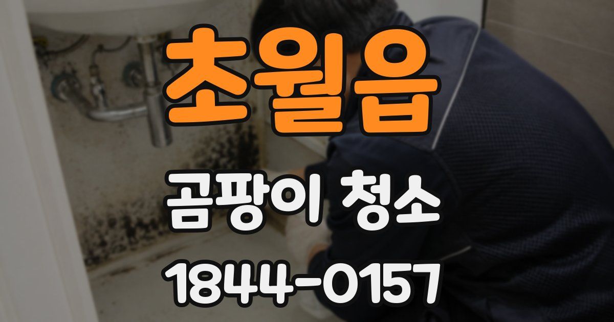 초월읍 곰팡이 청소