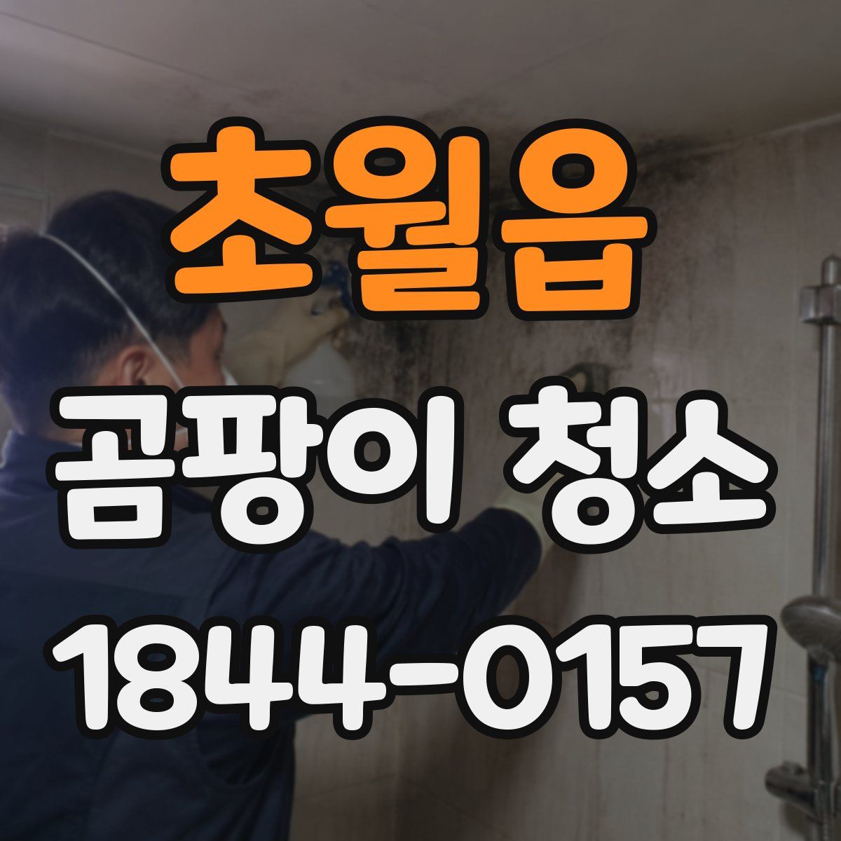 초월읍 곰팡이 청소