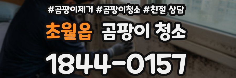 초월읍 곰팡이 청소