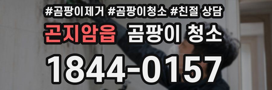 곤지암읍 곰팡이 청소