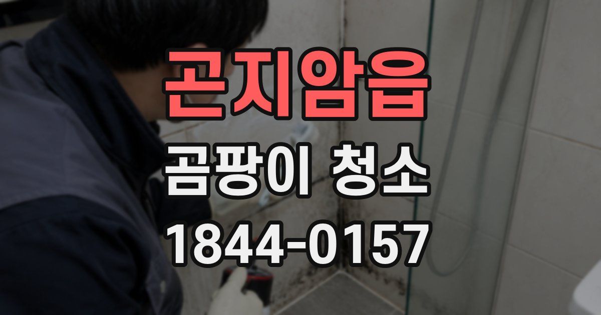 곤지암읍 곰팡이 청소