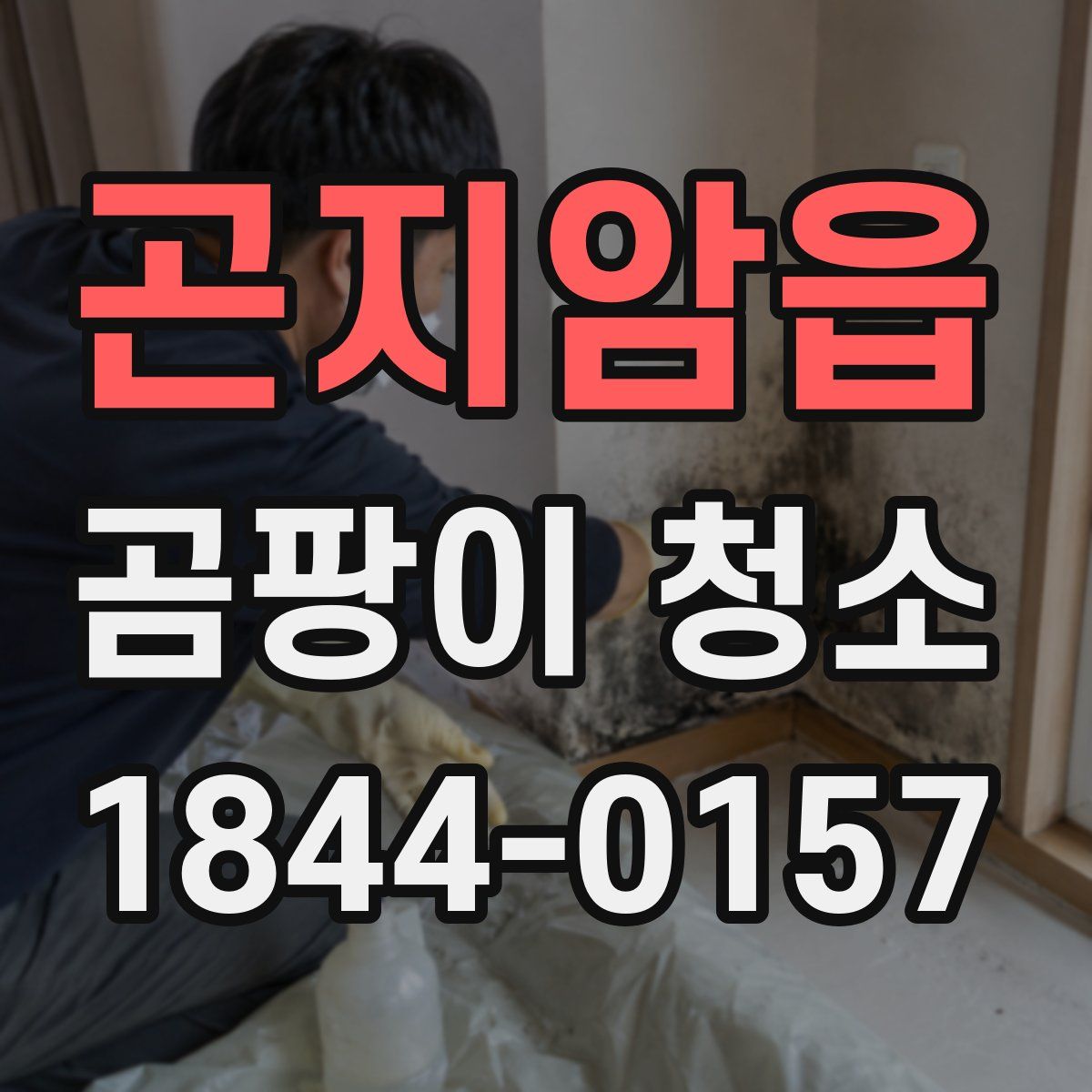 곤지암읍 곰팡이 청소
