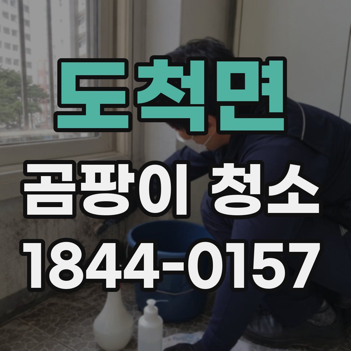 도척면 곰팡이 청소