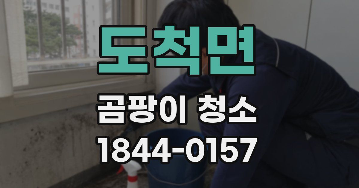 도척면 곰팡이 청소